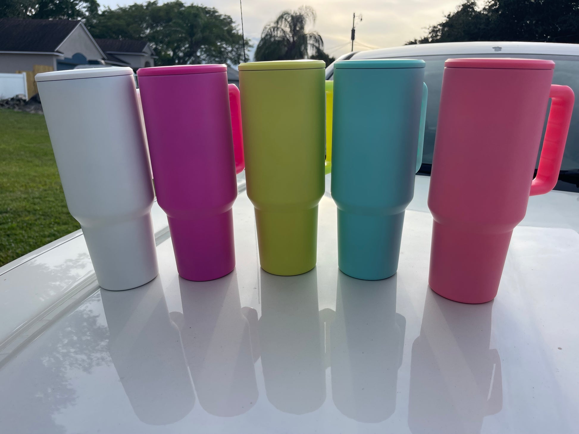 Pink And Green Meany 40 oz. Tumbler with Handle – Mayan Sub Shop